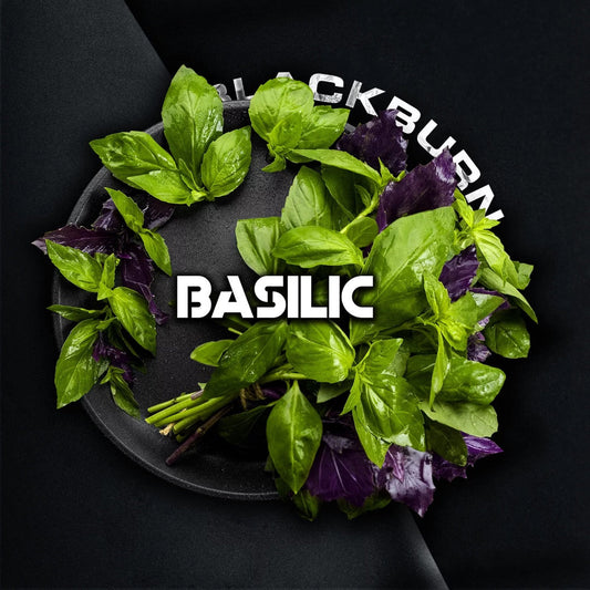 BlackBurn Basilic | Hookah Deals