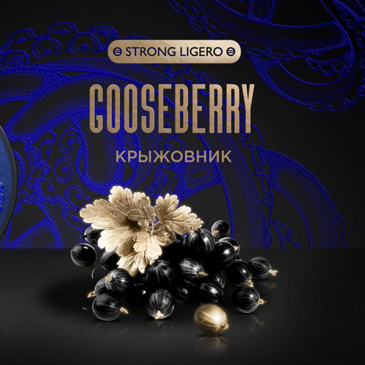 Kraken Hookah Tobacco Gooseberry | Hookah Deals